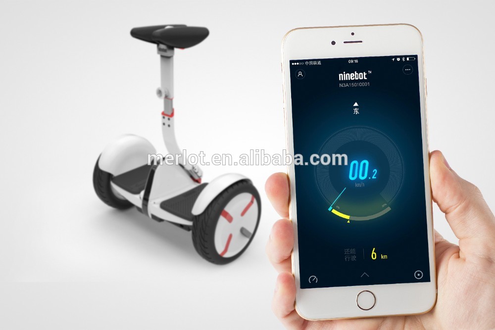 Ninebot mini Pro with APP 2 wheel chariot