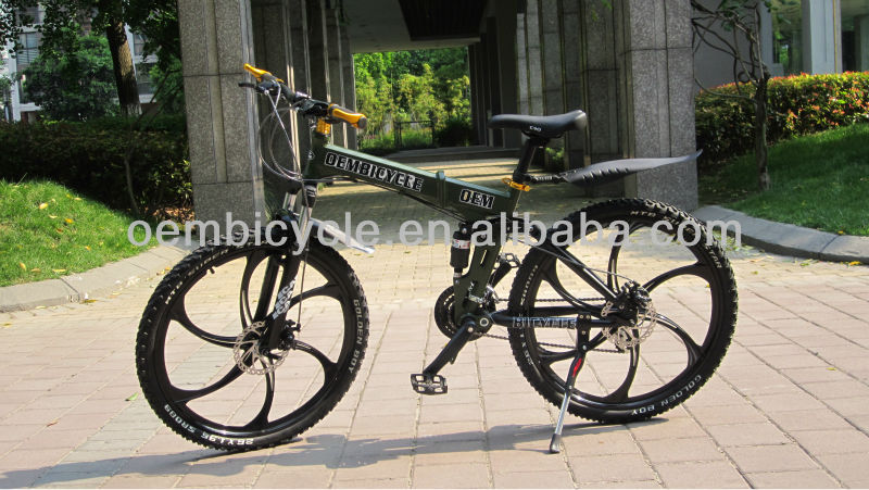 professional mountain bike supplier in China