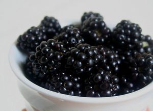 Case of 6 #10 Can of Freeze Dried Blackberries Fruit Survival Food Dehydrated