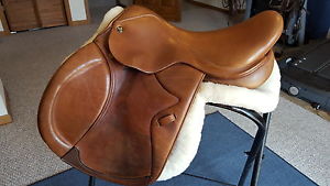 17.5"   M.  Toulouse Premia - wide tree