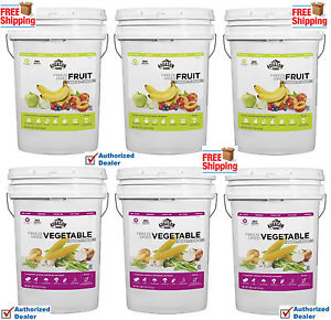 (6) Augason Farms FRUIT& VEGETABLE VARIETY PACK 6 x 6 Gallon Pail Freeze Dried
