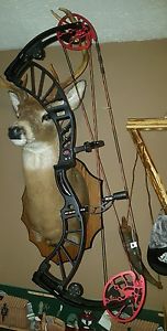 Obsession DefCon m7 compound bow hunting archery