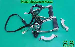 6 Equine Mouth S