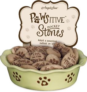 Pawsitive Stones 48 Piece Assorted & Display AngelStar