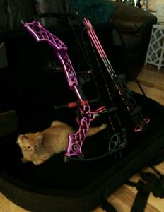 Mathews jewel bow