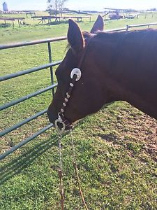 E.Garcia Horse bit & Dale chavez Headstall