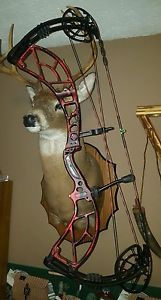 Obsession Fusion 7 compound bow hunting archery