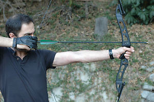 Hoyt Horizon Olympic ILF Grand Prix Recurve Bow Kit 3 Sets of Limbs