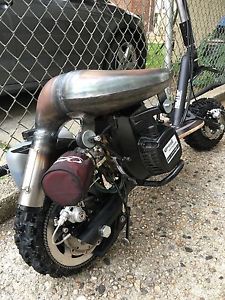 Go Ped GTR46R Costume Scooter Trail Ripper Goped FLAT BLACK