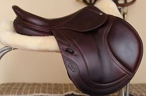 Gorgeous 2013 17” CWD SEO2 for sale! Full BUFFALO!