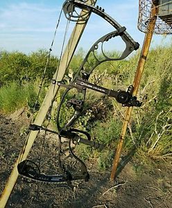 Hoyt Faktor 30