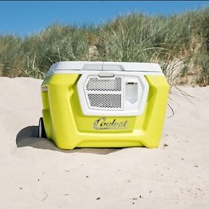 Coolest Cooler Green - Brand New and in the UK