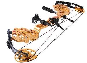 Pro Archery Compound Bow Gold 35-55lbs Hunting RH Bow & Case Set Carbon Arrows