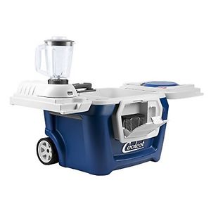 coolest cooler