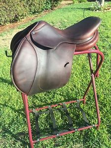Antares Saddle 16.5  *FULL CALFSKIN* Excellent Condition