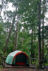 REI KINGDOM 6 Tent - 3 Season tent - 2015