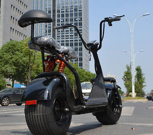 Electric Motor Scooter Motorsports Fat Tire Energy 40km/h 1000W 2 Seats