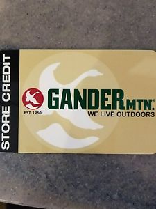 Gander mountain store credit  $216.05