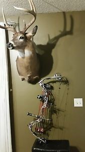 Elite judge compound bow 60 to 70 pound 29 inch draw RH