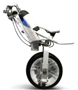 Gyroelectric One Wheel Self-Balancing Electric UniBike OneWheel Made In Japan