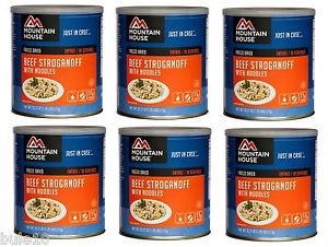 Case of 6 Mountain House Beef Stroganoff-#10 Cans+25 Year Shelf Life