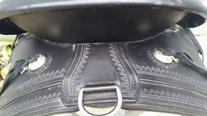 Circle Y Trail / Pleasure Saddle