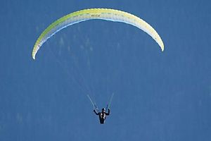 Ozone - Buzz Z4