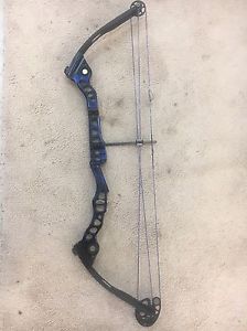 mathews conquest compound bow