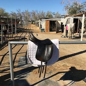 amerigo dressage saddle