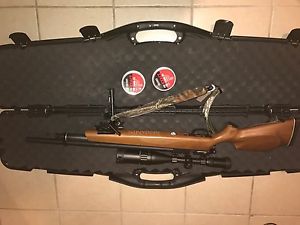 benjamin marauder .25