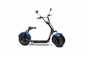 100W Electric Motorcycle