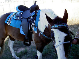Western Cordura Trail Barrel Pleasure Horse SADDLE Bridle Tack Blue 4917