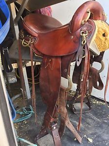 Sharon Saare Endurance Saddle. 15