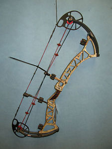 Bowtech Experience Compound Bow