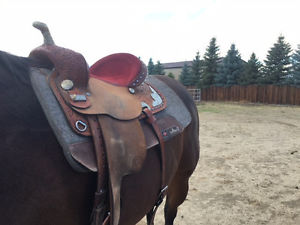 circle y proven barrel saddle