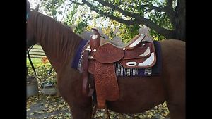 Rocking R Silver Show Saddle Breast Collar Bridle