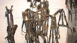 Draft HorseTeam Show  Harness With Lines & Bridles