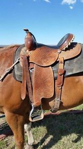 Charmayne James Cactus Saddle 14.5