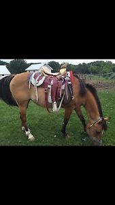Mexican Charro 16" Saddle