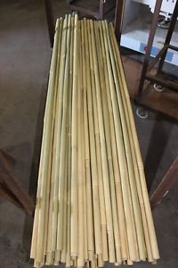 10 Superb  Tonkin  Bamboo Poles for Walking/Trekking Sticks/Skiing Sticks Etc