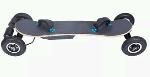 3300 WATT Dual Motor Off Road Electric Skateboard(Mountain Board)