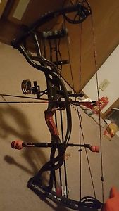 hoyt carbon element
