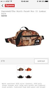 Supreme The North Face Lumbar Pack