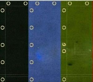 Boxing Ring Canvas Top quality 14×14 with 3 feet drop all  raond Black, Blue gre