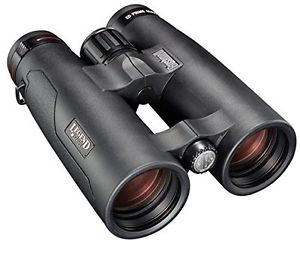 Bushnell Legend M-Series Open Bridge 8x42 Binocolo Nero