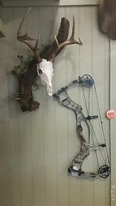 HOYT NITRUM 30 Compound Bow