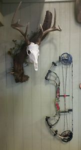 PSE DNA SP Compound Bow