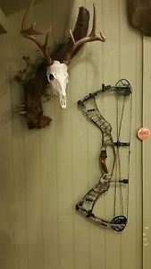 HOYT NITRUM TURBO Compound Bow