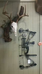 HOYT Charger Compound Bow