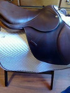 Pessoa A/O close contact 17" medium tree